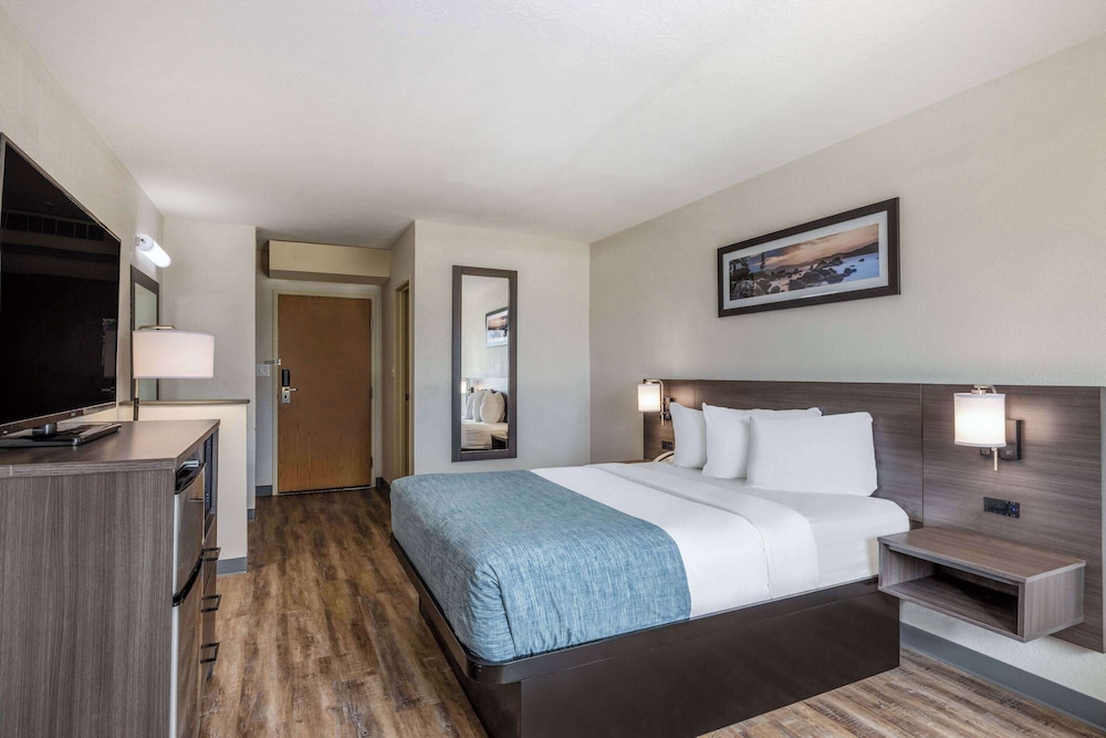 Room, 1 Queen Bed, Accessible, Non Smoking (Roll-In Shower) photo 3