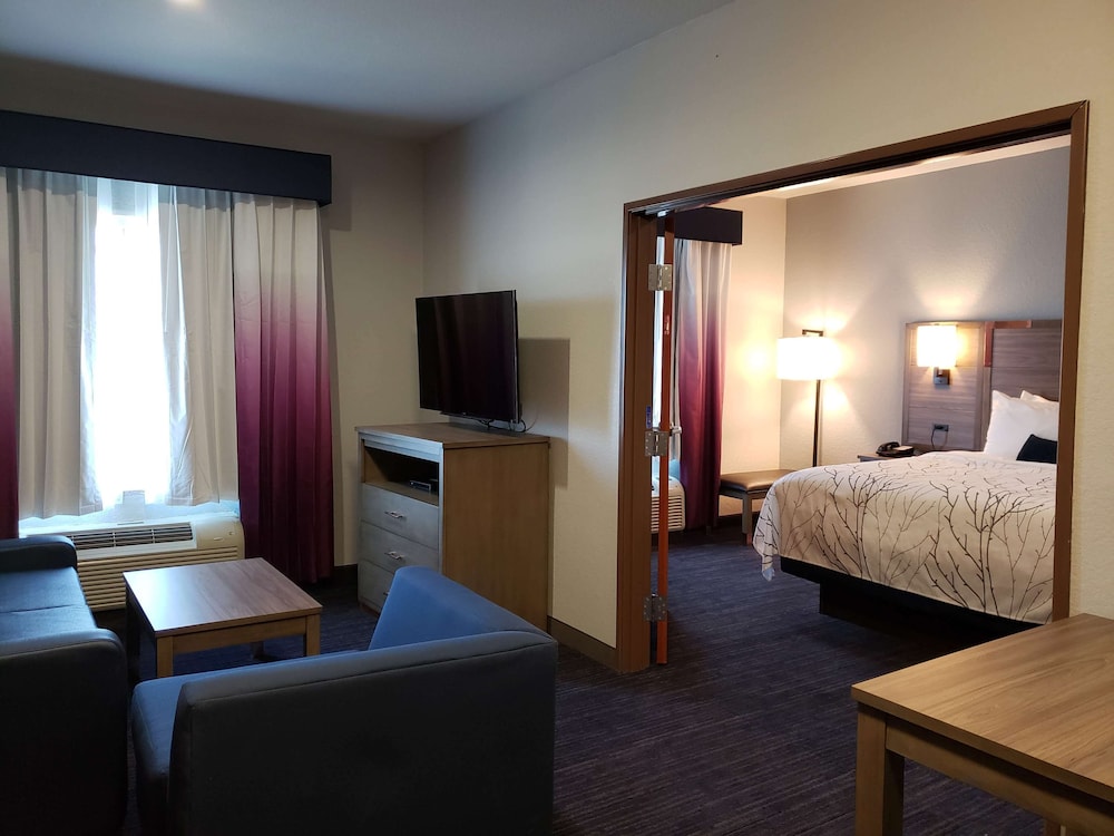 Suite, 1 King Bed, Accessible, Kitchen (with Sofabed, Full Kitchen)