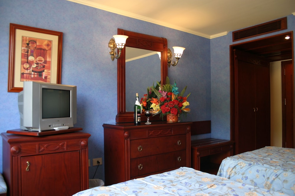 Deluxe Double or Twin Room photo 2