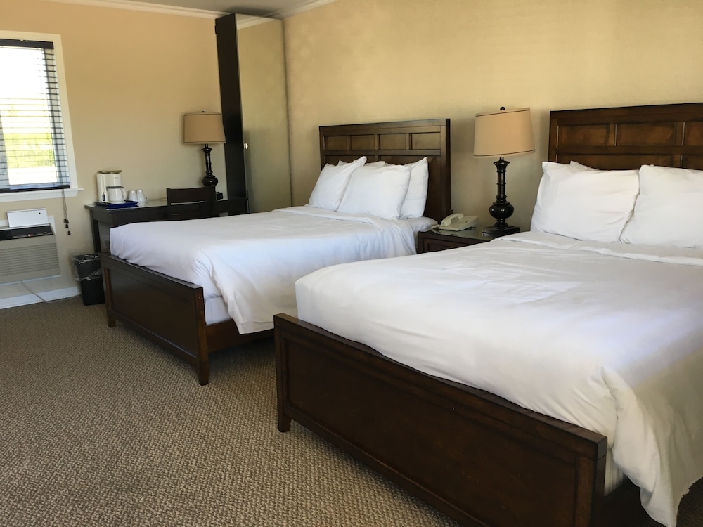 Suite, 2 Rooms, Kitchen