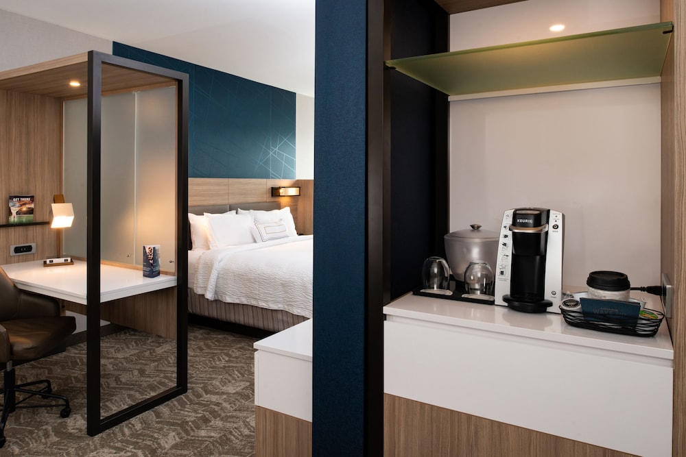 Suite, 1 King Bed (Mobility/Hearing Access, Roll-In Shwr) photo 3