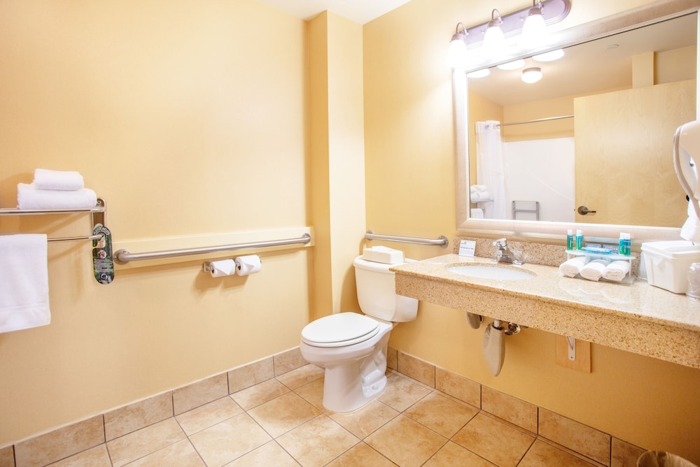 Suite, 1 King Bed, Jetted Tub - Photo 13