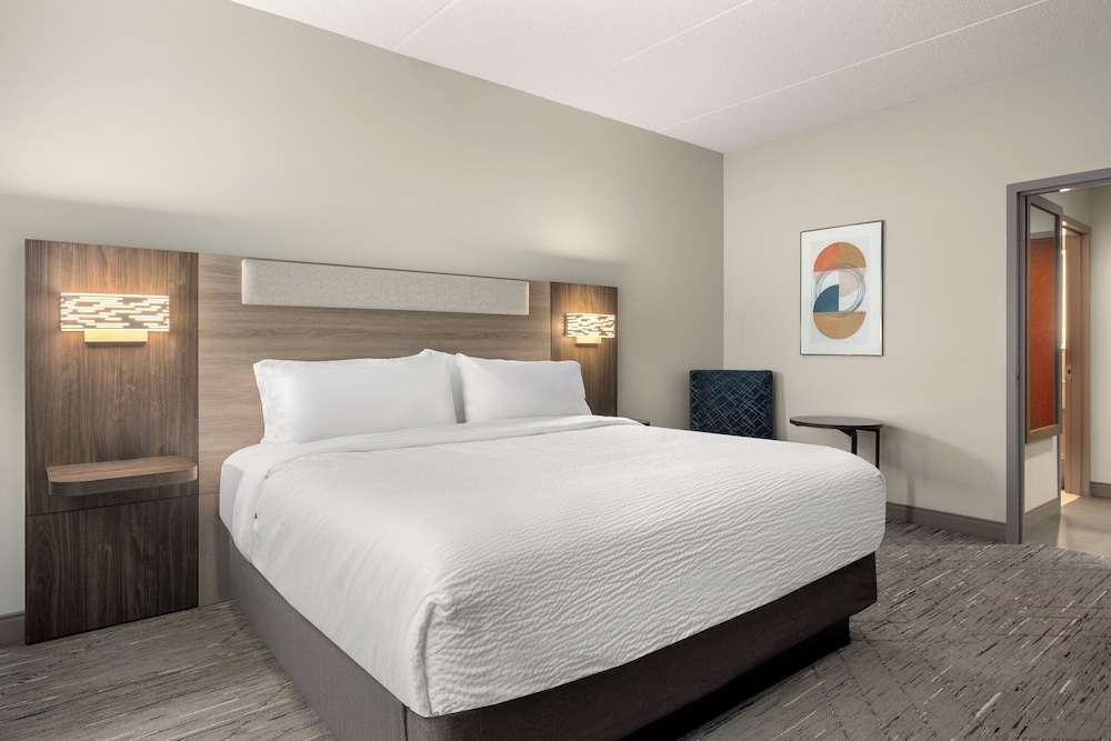 Standard Room, 1 King Bed, Accessible (Communication) - Photo 3