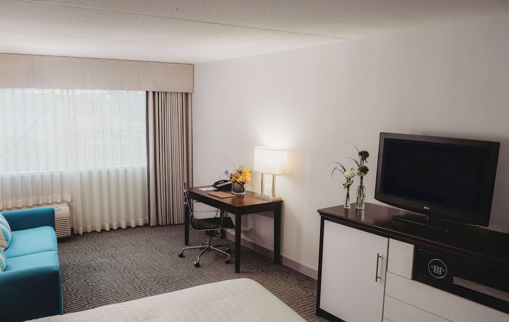 Executive Room, 1 King Bed with Sofa bed - Photo 3