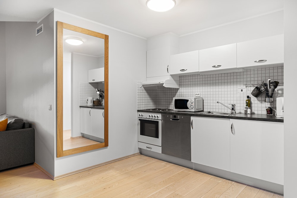 Deluxe Apartment, 1 Bedroom, Bathtub, City View photo 3