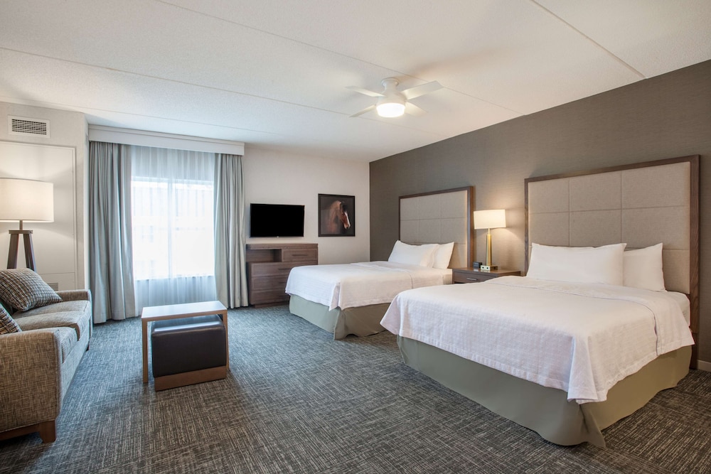 Studio, 2 Queen Beds