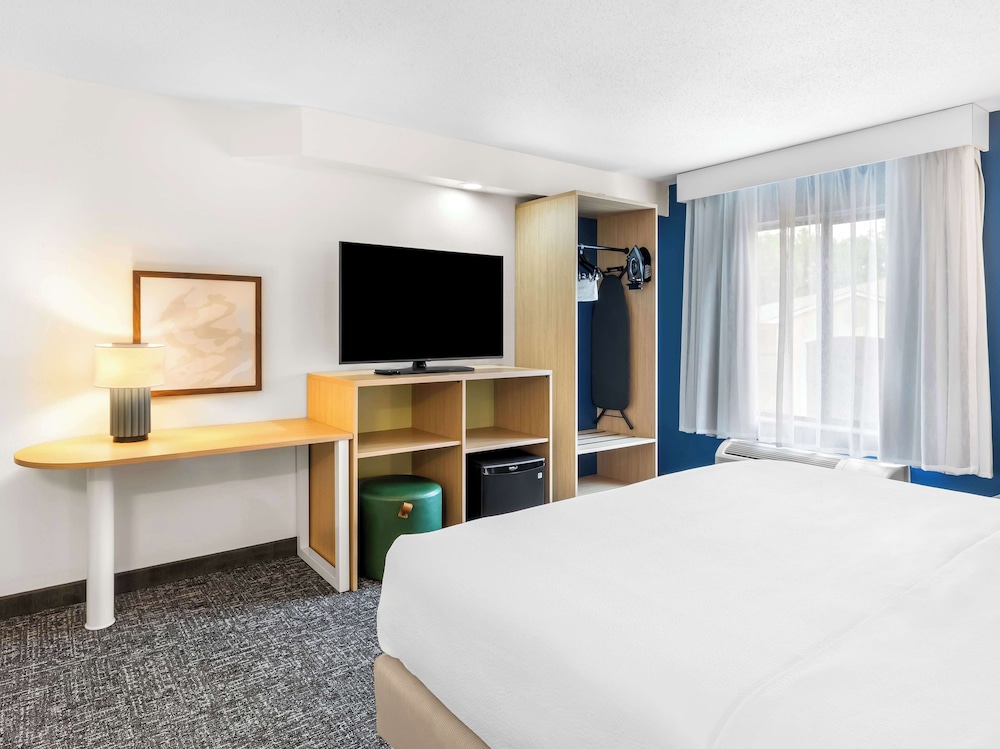 Room, 1 King Bed, Accessible (Mobility & Hearing, Roll-in Shower) - Photo 8