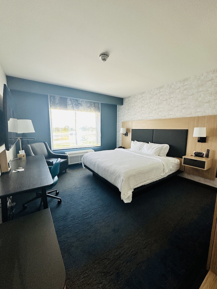 Room, 1 King Bed (Mobility Accessible, Roll-In Shower)