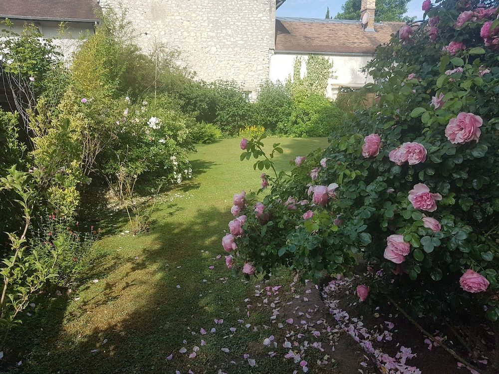 Comfort Double Room, Courtyard Area photo 2