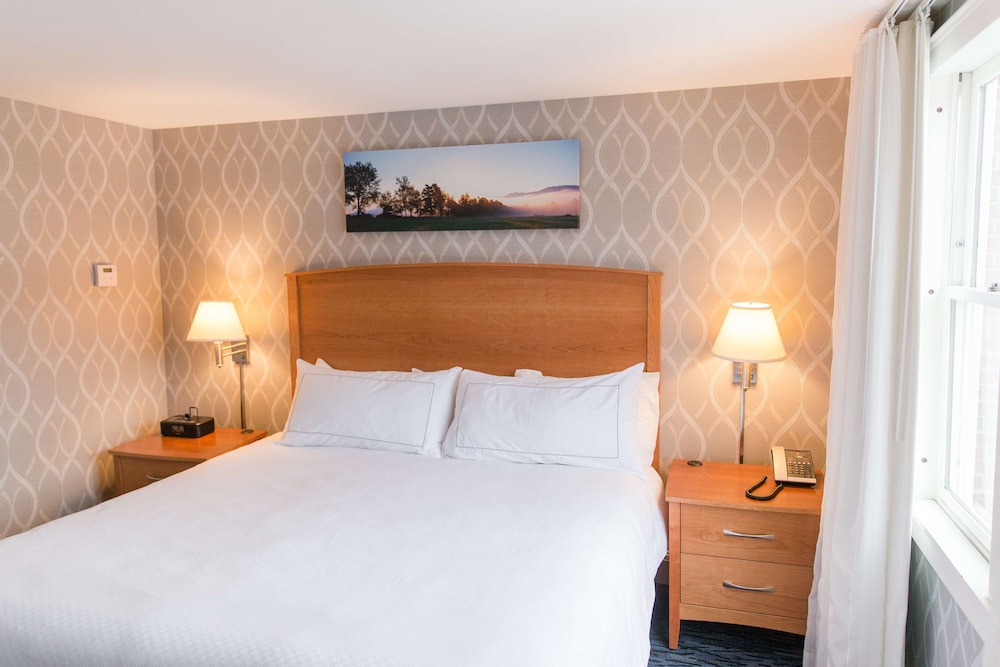 Suite, 1 Bedroom
