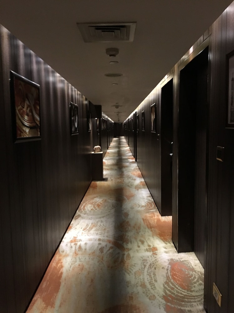 Executive Suite photo 3