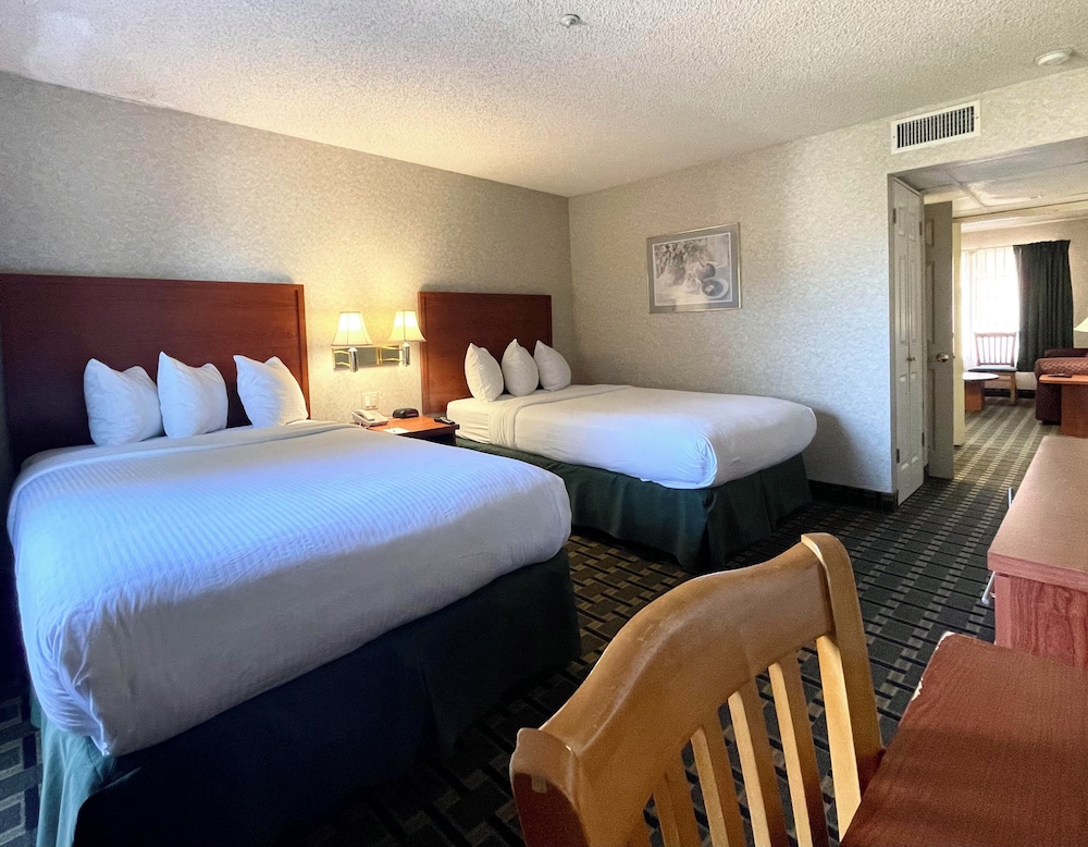 Standard Double Suite - Photo 1