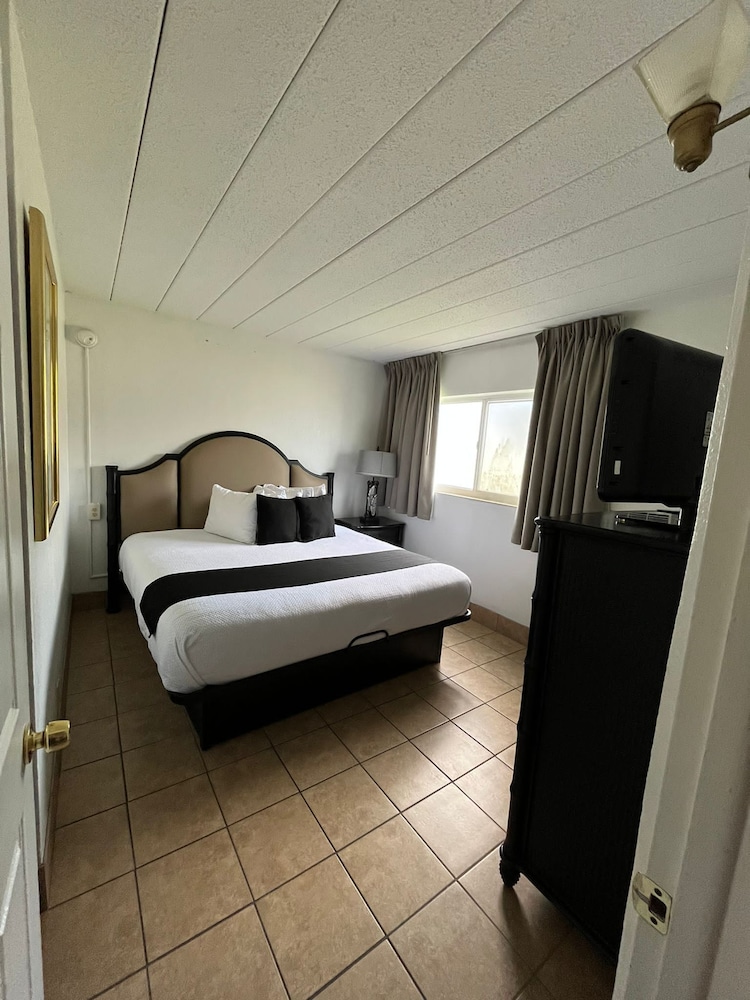 Suite, 1 Bedroom photo 2