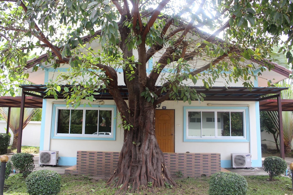 Superior House with Terrace