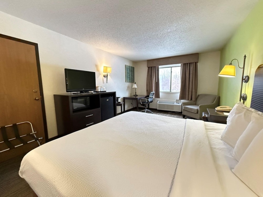 Standard Room, 1 King Bed, Non Smoking (Larger Room) - Photo 1