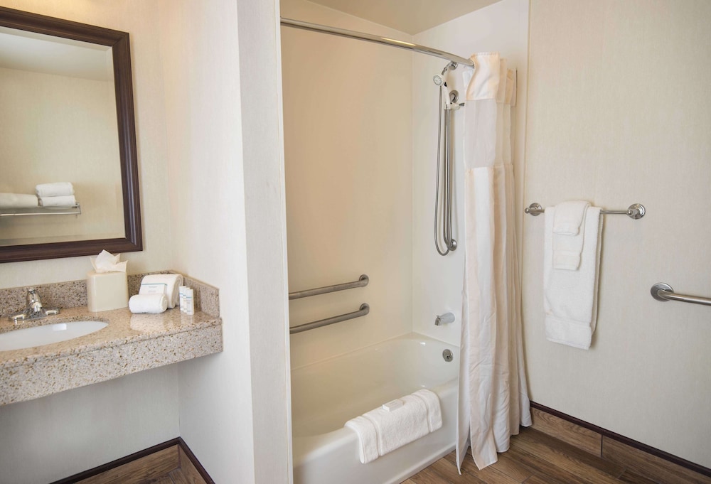 Room, 1 King Bed, Accessible, Bathtub (Mobility)