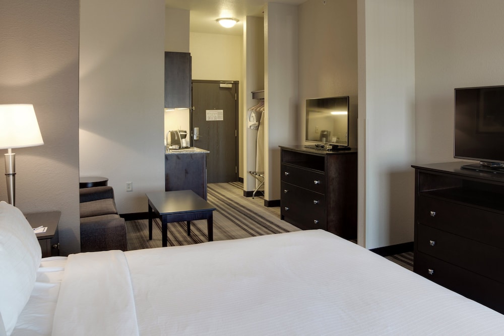 Suite, 1 King Bed, Accessible (Mobility, Accessible Tub) photo 3