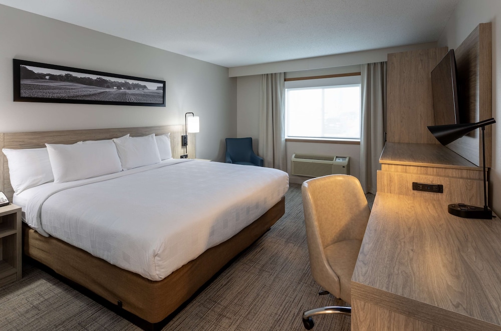 Suite, 1 King Bed, Accessible photo 3