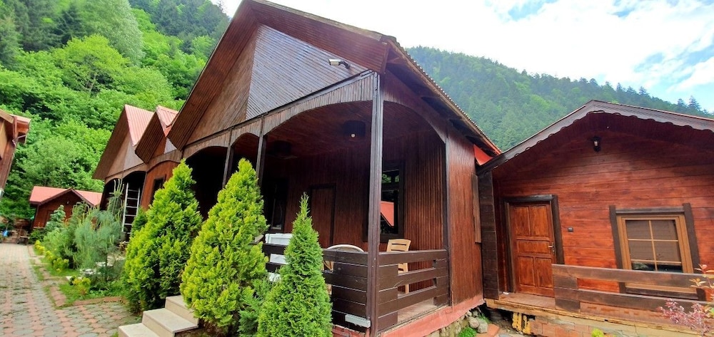 Deluxe Chalet, 3 Bedrooms, Kitchen, Garden View photo 2