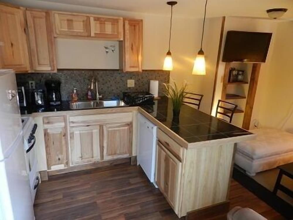Standard Apartment, 1 Bedroom, Kitchen (Unit 1) photo 3