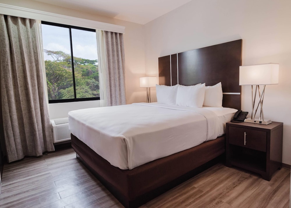 Room, 1 King Bed, Non Smoking - Photo 1