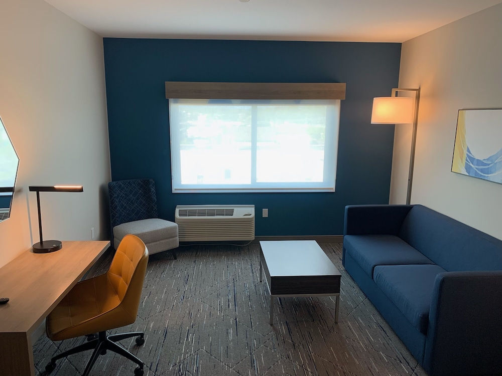 Suite, 1 King Bed, Mountain View photo 3