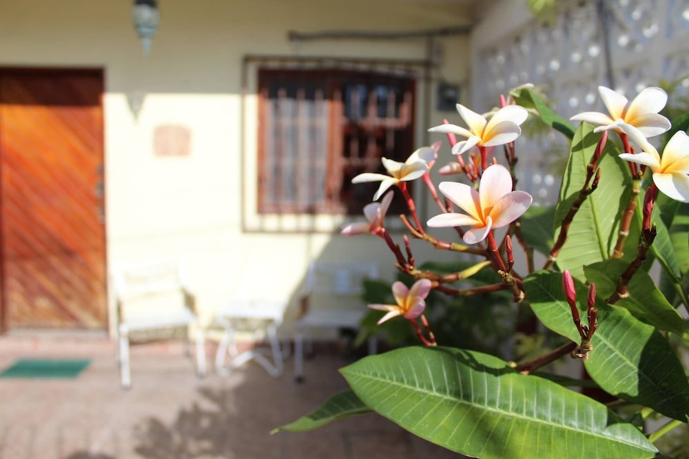 Room, 1 Bedroom, Patio