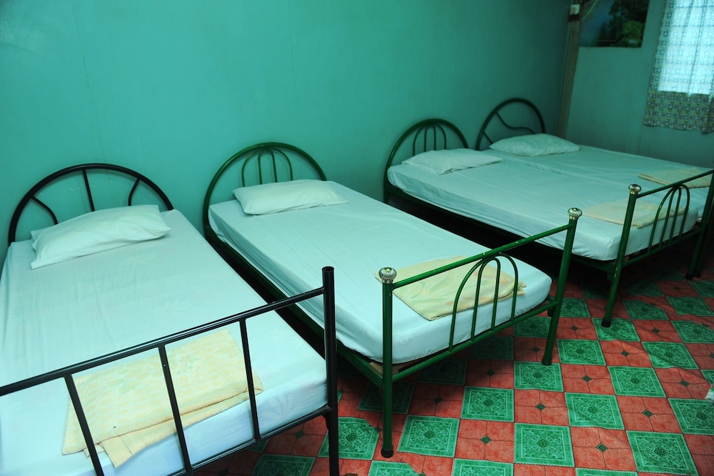 Single Bed in 4-Bed Female Dormitory photo 1
