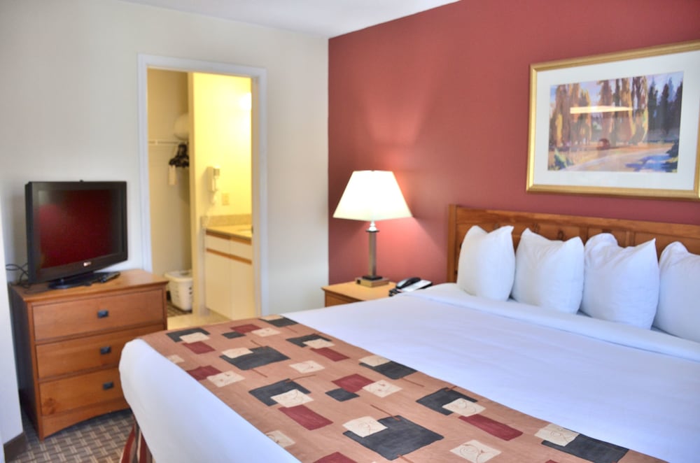 One Bedroom Suite w/ Full Pull Out Couch - Photo 3