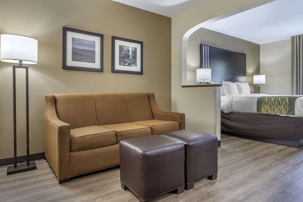 Executive Suite, 1 King Bed with Sofa Bed, Ground Floor photo 1