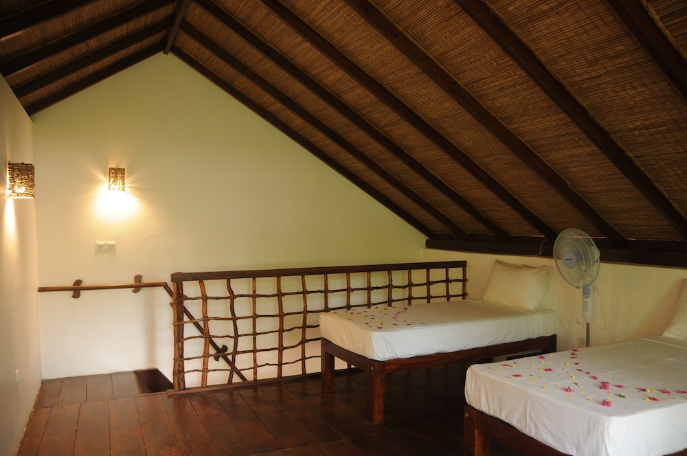 Basic Shared Dormitory photo 3
