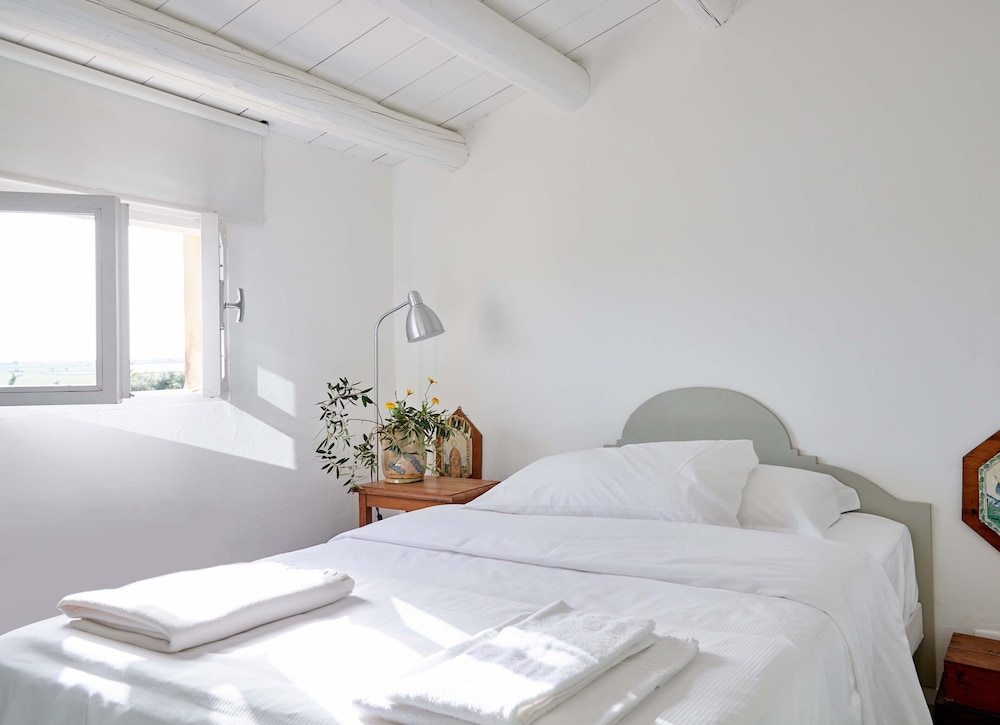 Classic Single Room photo 2