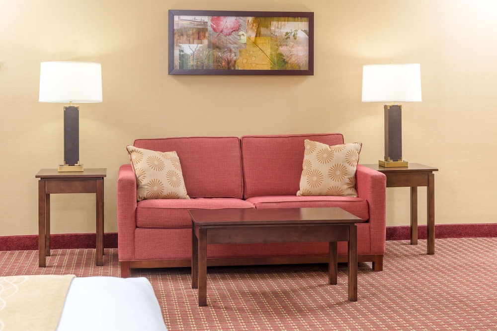 Suite, 1 King Bed with Sofa bed, Accessible, Non Smoking - Photo 1