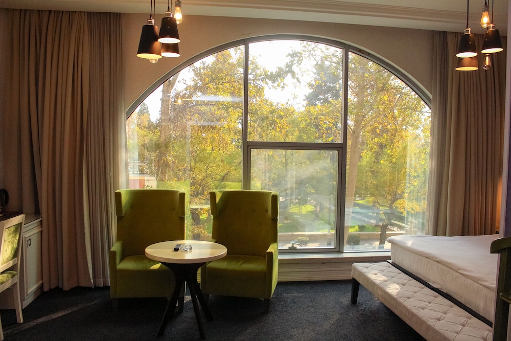 Deluxe Double Room photo 2