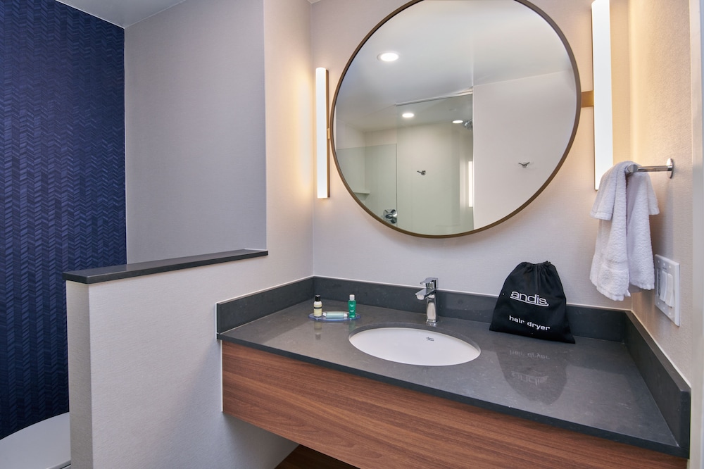 Suite, 1 King Bed (Hearing Accessible) - Photo 6