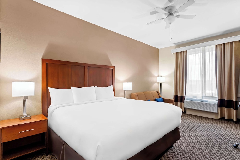 Suite, 1 King Bed with Sofa bed, Non Smoking (Efficiency, Upgrade) - Photo 5