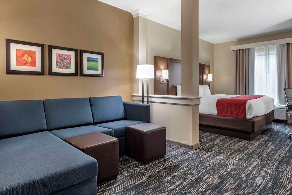 Premium Suite, 1 King Bed with Sofa bed, Non Smoking