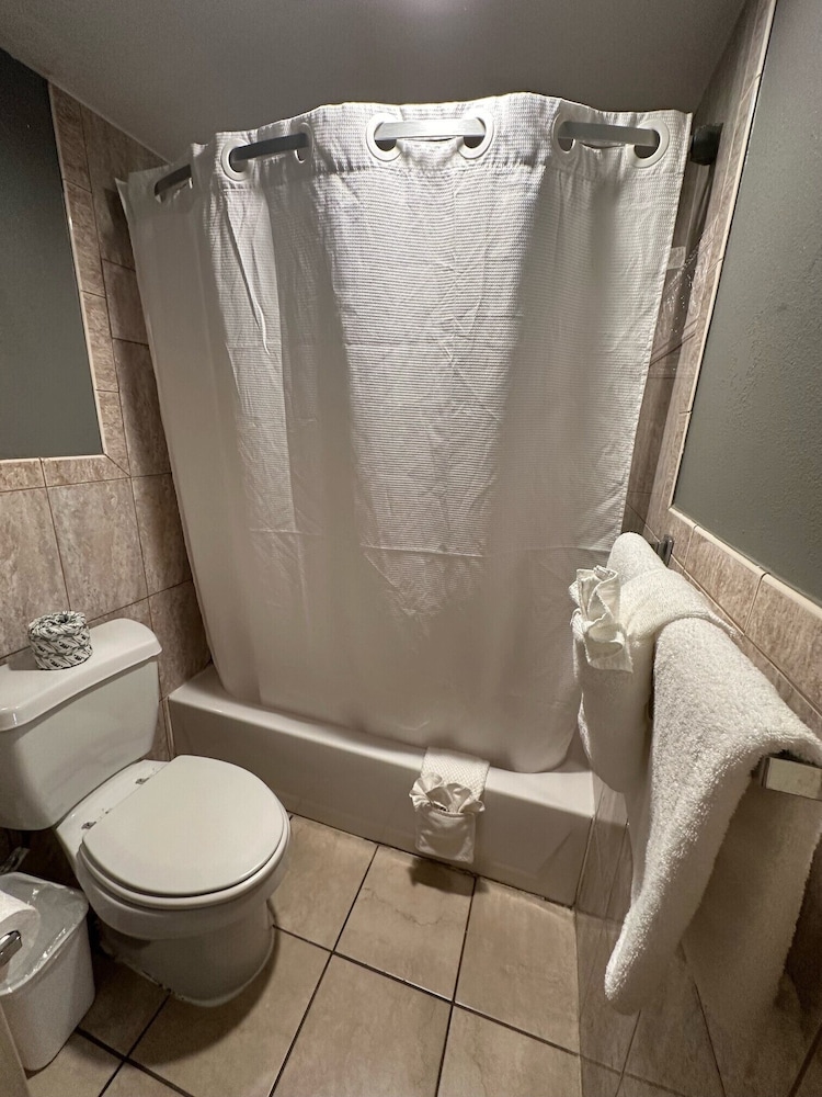 Basic Single Room photo 3