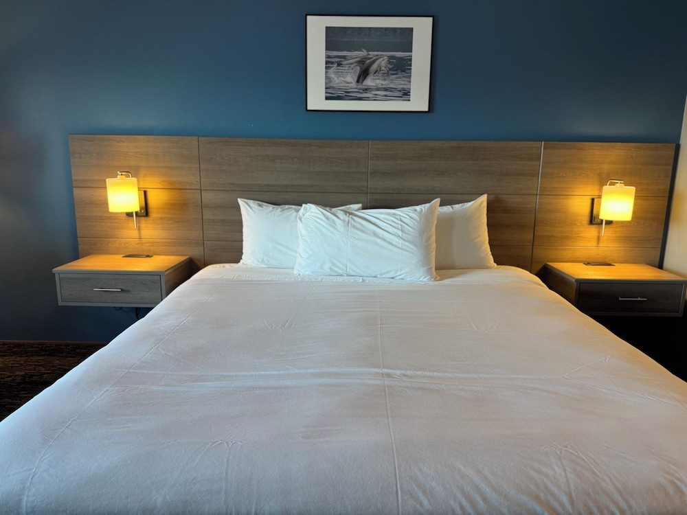Room, 1 King Bed, Ocean View