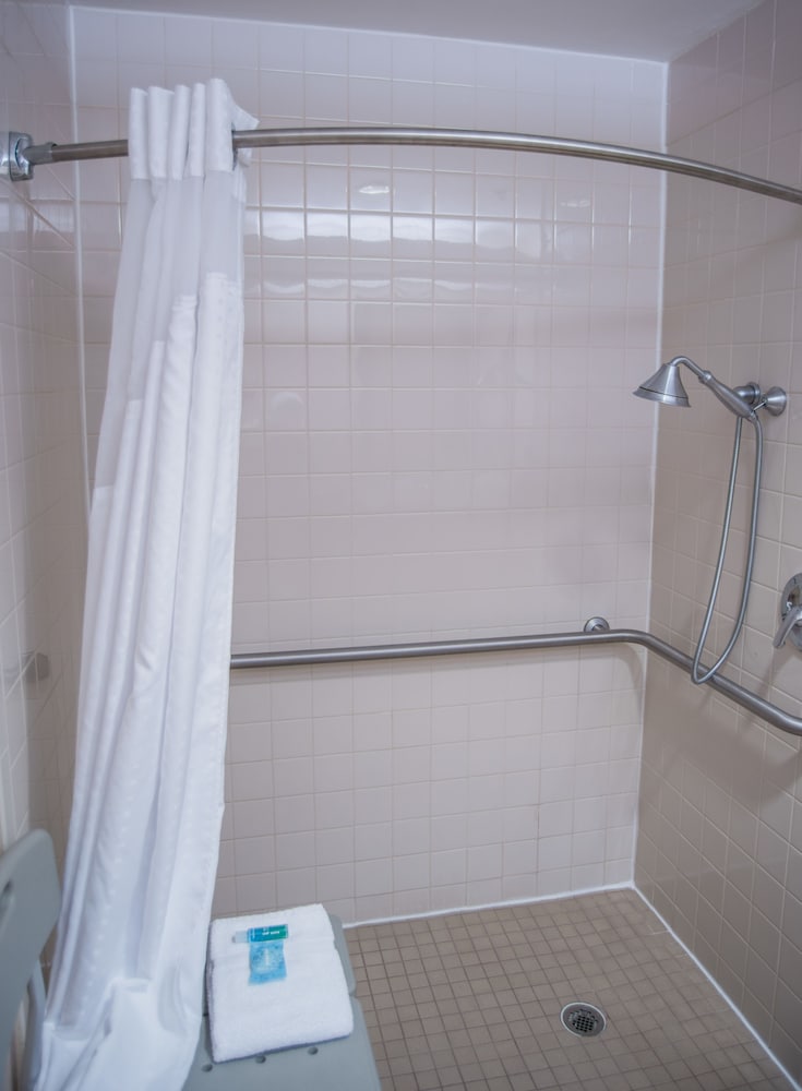 Suite, 1 King Bed, Accessible (Mobility Tub) - Photo 6