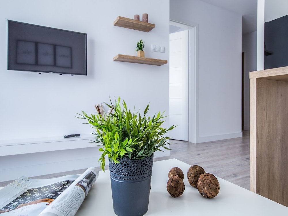 Comfort Apartment, 1 Bedroom, Non Smoking, Balcony photo 3