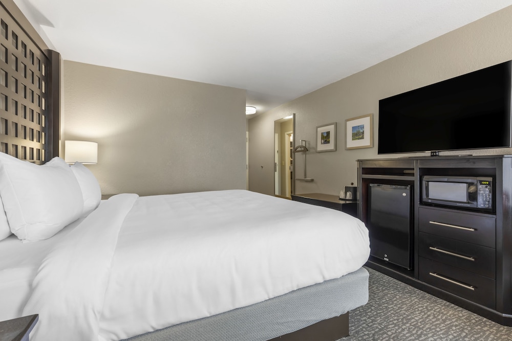 Standard Room, 1 King Bed, Non Smoking - Photo 6