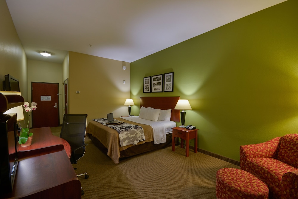 Suite, 1 King Bed with Sofa bed, Accessible, Non Smoking - Photo 5