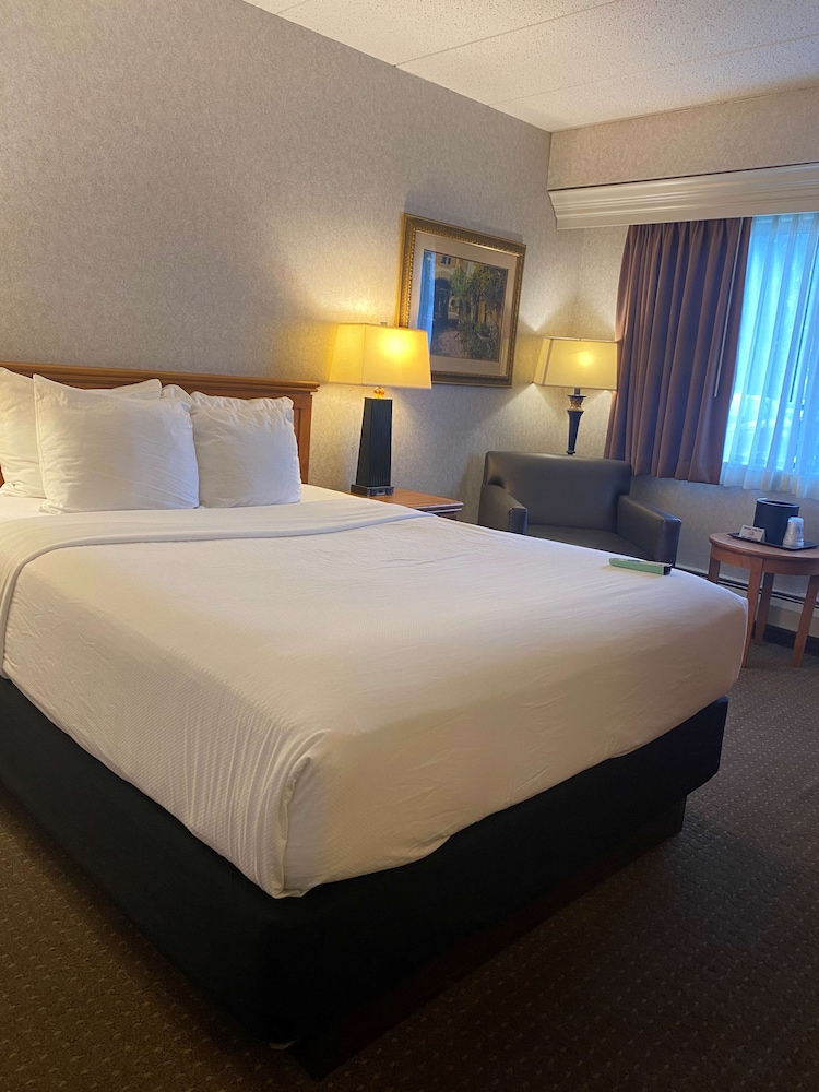 Traditional Room, 1 Queen Bed, Non Smoking, Refrigerator & Microwave - Photo 3