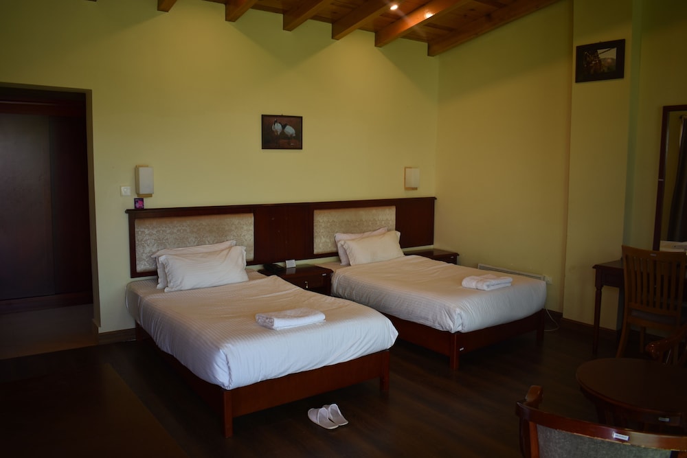 Standard Double or Twin Room photo 1