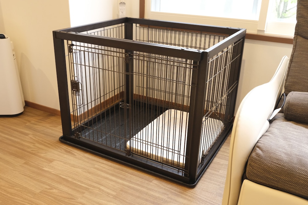 Dog Friendly Japanese Western Style Room, 61sqm (River side), Non Smoking photo 3