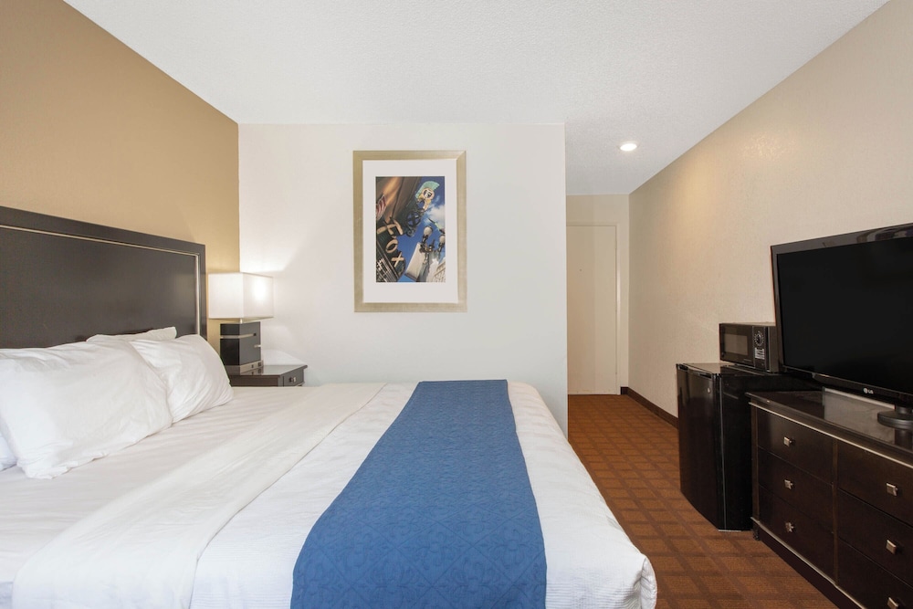 Basic Single Room photo 1