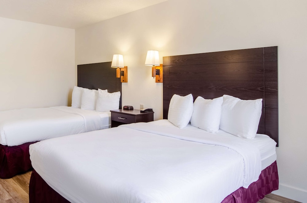 Room, 2 Queen Beds (Pet Friendly) photo 3