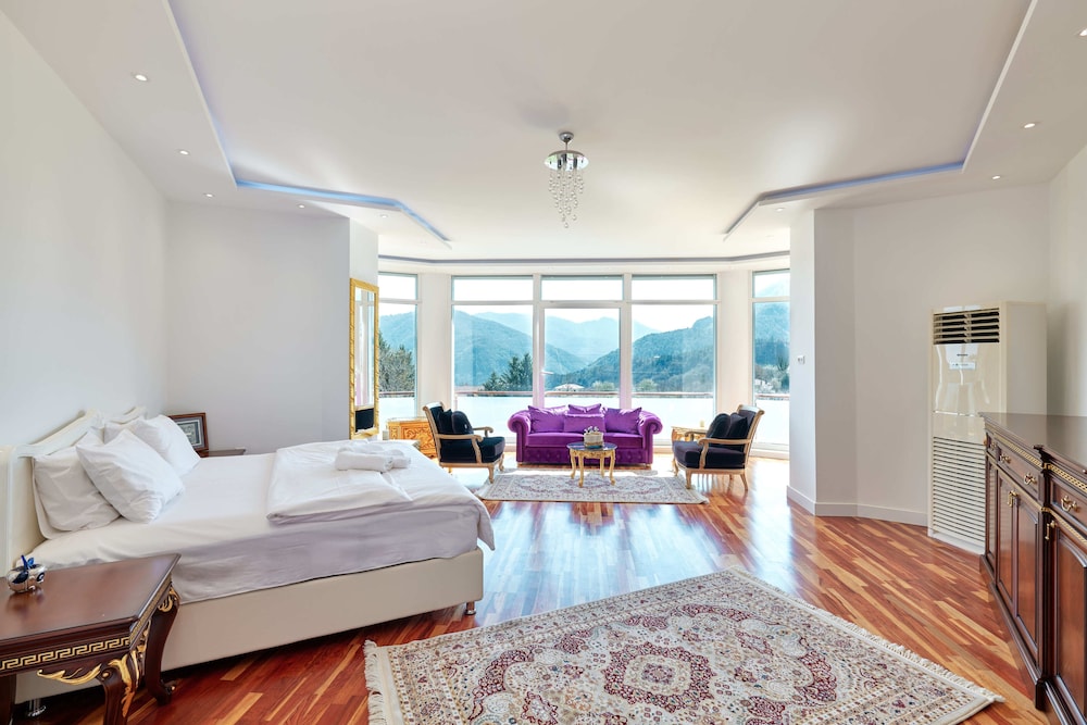 Deluxe Studio Suite, 1 King Bed with Sofa bed, Mountain View photo 1