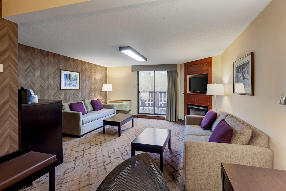 Standard Room, 1 King Bed, Non Smoking, Jetted Tub (with Sofabed) - Photo 2